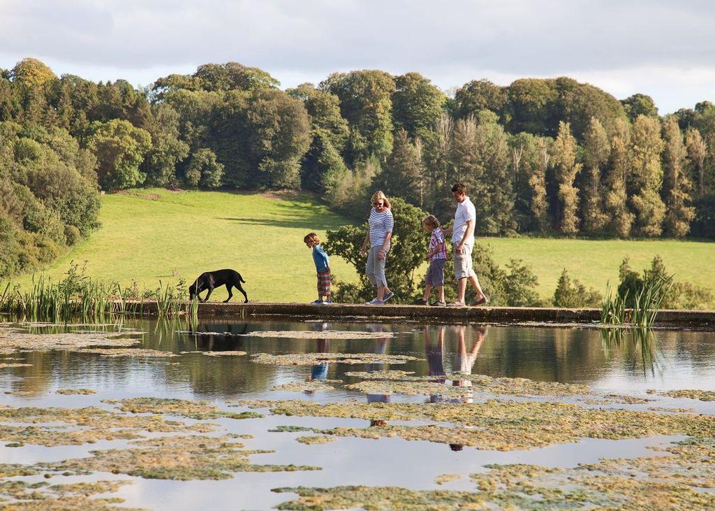 Swandown Lodges Chard Bagian luar foto